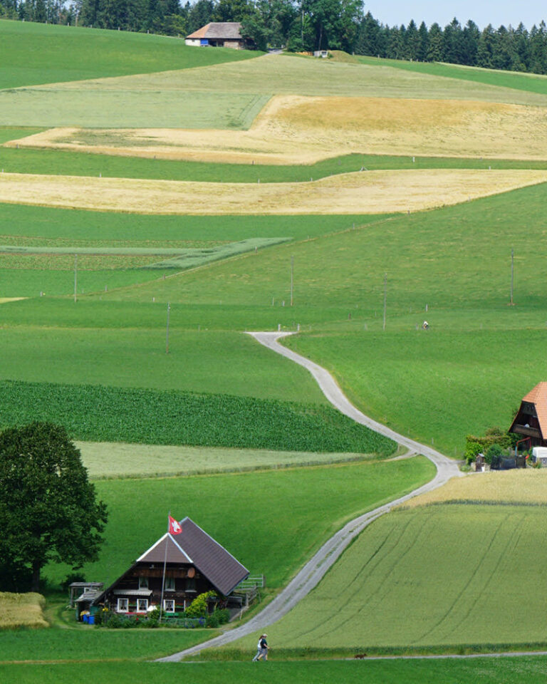 <strong>Weiterentwicklung</strong> der Agrarpolitik: AP 2030+
