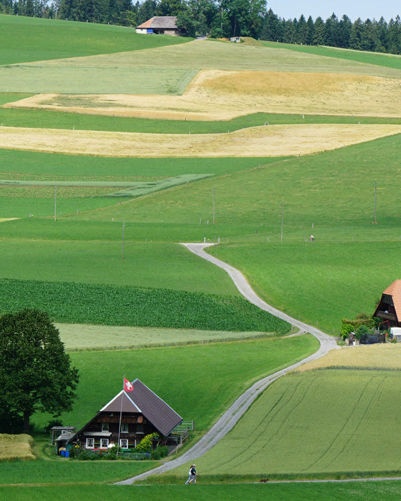 <strong>Weiterentwicklung</strong> der Agrarpolitik: AP 2030+